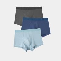 【YF】 Underpants Men Boxers Cotton Antibacterial Breathable Pants Youth Boys Bottoms Shorts