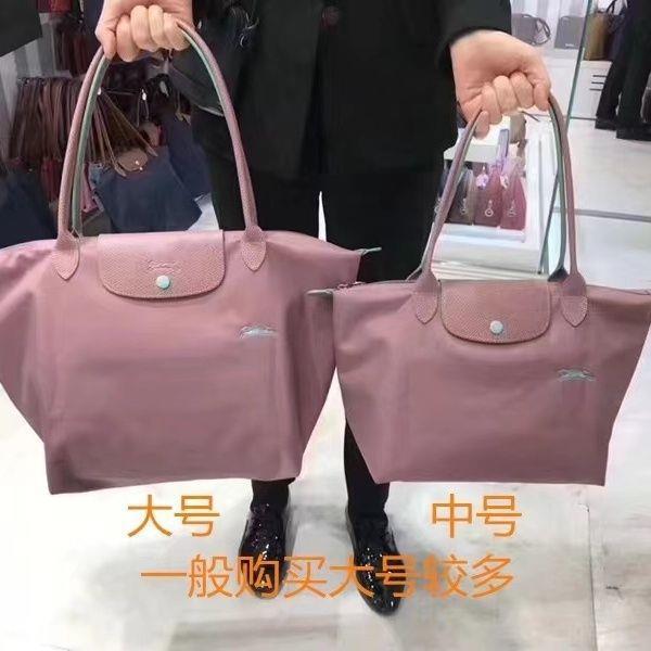 70th-anniversary-commemorative-french-longchamp-bag-casual-womens-bag-nylon-dumpling-bag-embroidery-portable-shoulder-tote-bag-women