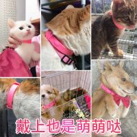 [Free ship] Insect repellent collar anti-flea drug cat dog flea removal lice external insect pet supplies