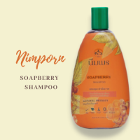 นิ่มพร แชมพู สูตรมะคำดีควาย ( Nimporn Soapberry  Shampoo  )