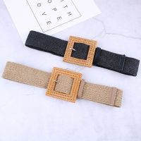 【CW】 fashion retro elastic wide belts for women waistband stretch simple Korea decorative dress accessories