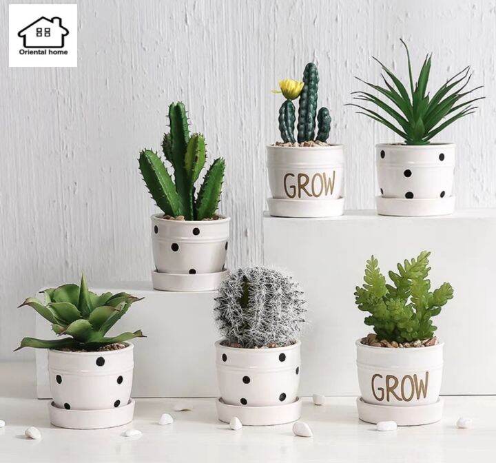 PolkaDots and grow design Ceramic Succulent Pots Flower Plant Pot Cute