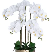 Phalaenopsis Artificial Flowers Long Branch Bouquet for Home Decor Wedding Decoration Fake Flowers DIY Wreath Bonsai Accessories Shoes Accessories