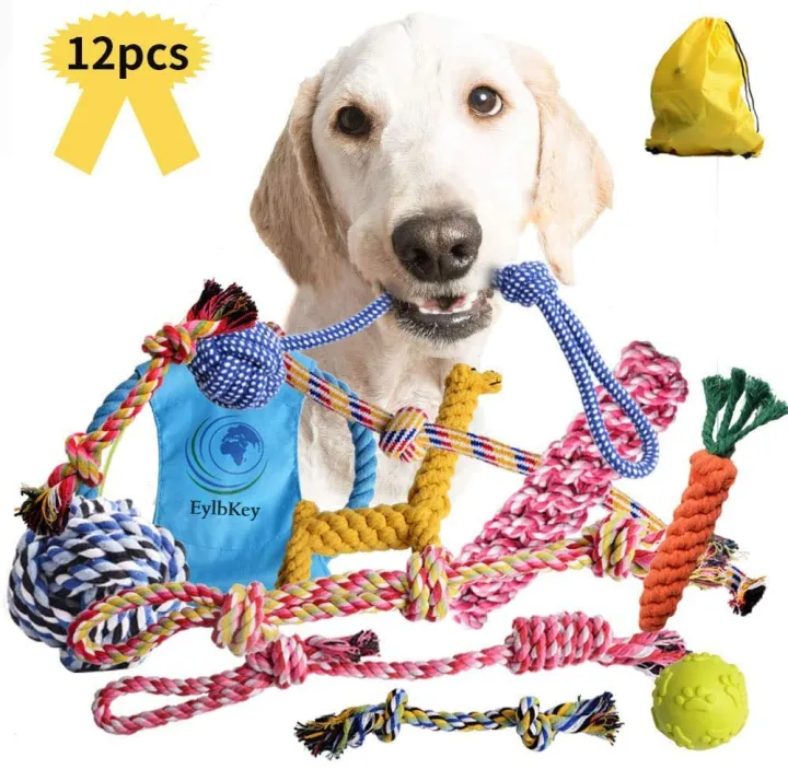 are rope toys good for dogs