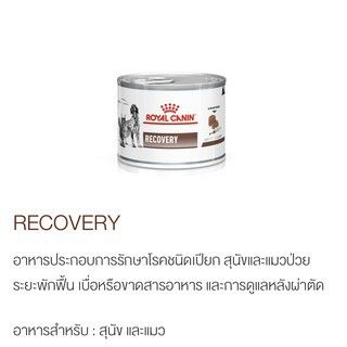 อาหารสัตว์ป่วย-พักฟื้น-royal-canin-recovery-exp-24-04-23