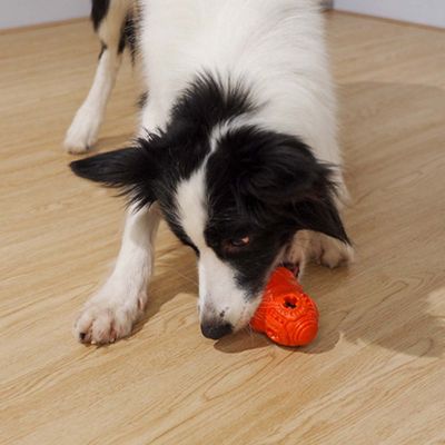 ของเล่นสุนัขสำหรับสุนัขขนาดกลาง/สุนัขขนาดใหญ่ของเล่นเหนียวของเล่นเคี้ยวไม่เป็นพิษของเล่นยางสำหรับสุนัข