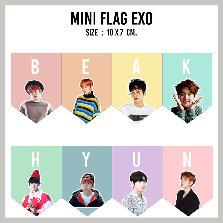 ธงจิ๋ว-exo-mini-flag-exo
