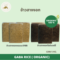 ข้าวฮางงอกหอมมะลิอินทรีย์ 100% ไร้สารเคมีทุกชนิด นุ่ม ทานง่าย Organic rice