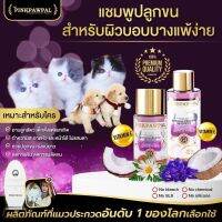 Pinkpawpal แชมพูสำหรับแมวผิวบอบบาง แพ้ง่าย Hypoallergenic Shampoo มี 3 ขนาดให้เลือก