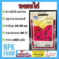 ผักซอง เจียไต๋ หงอนไก่ จำนวน 282 เมล็ด/ซอง เมล็ดพันธุ์ ลอตใหม่ ดอกไม้ซอง ดอกคละสีมีรูปคล้ายกับหงอนไก่ ลำต้นสูง 25-30 ซม. ระยะออกดอก 60 -70 วัน