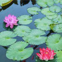 【YD】 Artificial Floating Flowers Ponds Foam Fake Pool Pond Garden Decoration