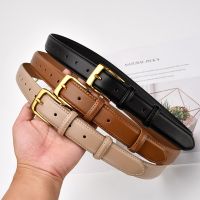 New Luxury Designer WomenGenuine Leather Belt High Quality Metal  Pin Buckle Adjustable Waistband Fashion Fine Lady Jeans Belts Belts