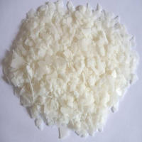 ปาล์มแว็กซ์ [Palm Wax] 1 kg