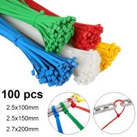 100pcs Self Locking Plastic Nylon Cable Tie Color Cable Tie Fastening Ring 2.5x100mm Industrial Cable Tie Cable Tie Set