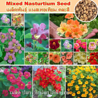 ปลูกง่าย เมล็ดพันธุ์ แนสเทอเทียม คละสี Mixed Nasturtium Seed for Planting (30-40 PCS) Bonsai Flower Plant Seed Gardening Seeds ยากันยุง บอนสี เมล็ดบอนสี บอนสีแปลกๆถูกๆ ต้นไม้มงคลสวยๆ บอนสีหายาก บอลสีชนิดต่างๆ ต้นไม้ฟอกอากาศ เมล็ดดอกไม้ ของแท้ 100%