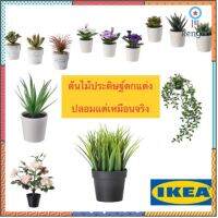 IKEA_FEJKA ต้นไม้ประดิษฐ์ ต้นไม้ปลอม ต้นไม้ประดับบ้าน ไว้ตกแต่งสร้างบรรยากาศให้ร่มรื่น สินค้ามีจำนวนจำกัด