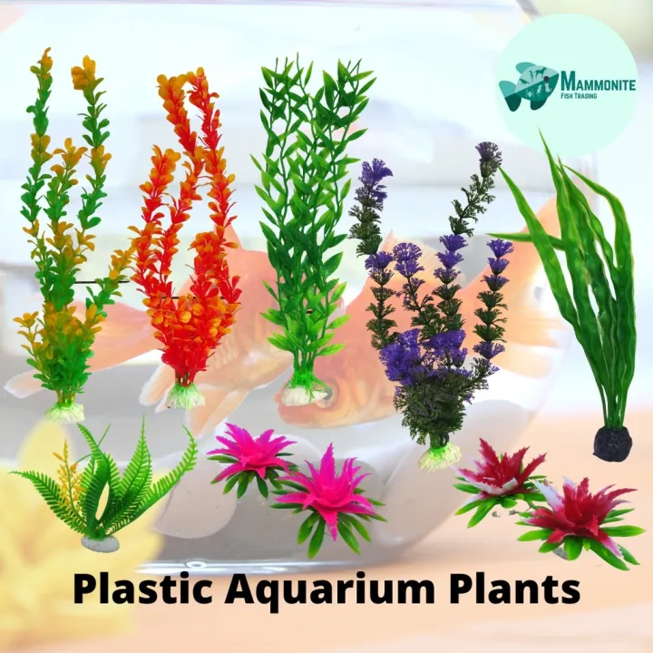 Ocean Farmers Plastic Aquatic Plants For Aquarium Fish Tank Decoration