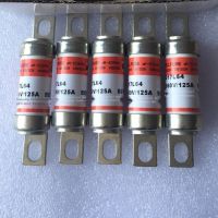 2022 ☆ เซี่ยงไฮ้เซี่ยงไฮ้อุตสาหกรรม Fast Fuse RSG17L64 660V 32A 50A 63A 80A 100A ฟิวส์หลอด