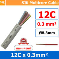 [ 1 เมตร ] SJK 0.3 Sq.mm. 12C x 0.3 สายมัลติคอร์ 12 คอร์ Multicore Cable สาย AV Control Cable SJK สาย คอนโทรล 0.3 sq.mm. Multi Core Cable 0.3mm Control Signal Power Control Cable Control Wire สายคอนโทรล สายมัลติคอ สายสัญญาณ สายคอนโทรล เบอร์ 0.3 มม สี เทา