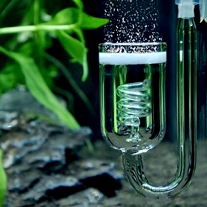 co2-glass-diffuser-ตัวช่วยกระจาย-co2-ขนาด-25-mm-หลอดแก้ว-ท่อเกลียว