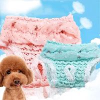 COD DSFGREYTRUYTU Washable Cute Dog Pet Physiological Pants Diaper in Princess Lacy style Chiffon Girls Dog Puppy Pet Underwear