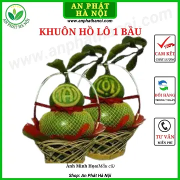 Khuôn Bưởi Tài Lộc Giá Tốt T08/2023 | Mua Tại Lazada.Vn