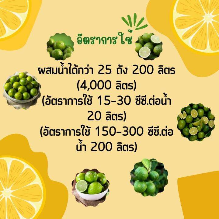 พร้อมส่ง-บุเรงนอง-ขนาด-250-ซีซี-อะมิโนพืช-สาหร่าย-ไคโตซาน-น้ำตาลทางด่วน-อาหารพืช-ใช้ฉีดพ่นทางใบ-ฉีดพ่น-มะนาว