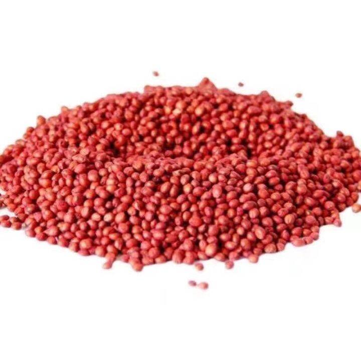 Import jean jean king forage grass seed production of cattle and sheep