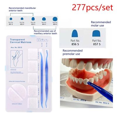 277Pcs/Set Dental Transparent Cervical Matrices Composite Gingival Retractor
