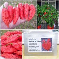 เมล็ดพันธุ์ พริกบุตโจโลเกีย (Bhut Jolokia Pepper Seed) 20 เมล็ด คุณภาพดี ราคาถูก ของแท้