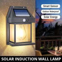 LED Solar Light Outdoor Waterproof Garden Wall Lamp Sunlight Sensor Luminous Lighting Tungsten Light Bulb For Yard Fence Decor