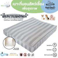 Bed Care For Pet เซทเบาะที่นอนสัตว์เลี้ยงพร้อมปลอก รุ่นสะท้อนน้ำ "สีเทาบลอนด์"