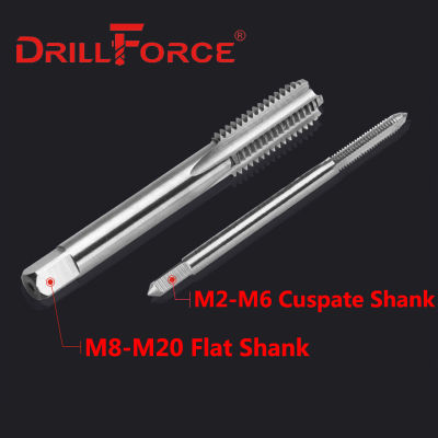 Drillforce 10PCS M3-M20 Screw Tap Drill Bits HSS M2 Machine Taps H2 Precision For Metal(M3 M4 M5 M6 M8 M10 M12 M14 M16 M18 M20)