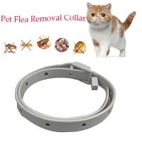 ZZOOI Dog Cat Collar Fleas Protective Collar for Cats Kitten Anti Flea Ticks Removal Adjustable Necklace Collar Mascota Collier Chat