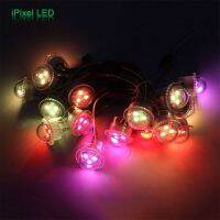 Holiday LED Pixel Light 3LEDS DC12V SMD5050 26MM Diameter For Night Club