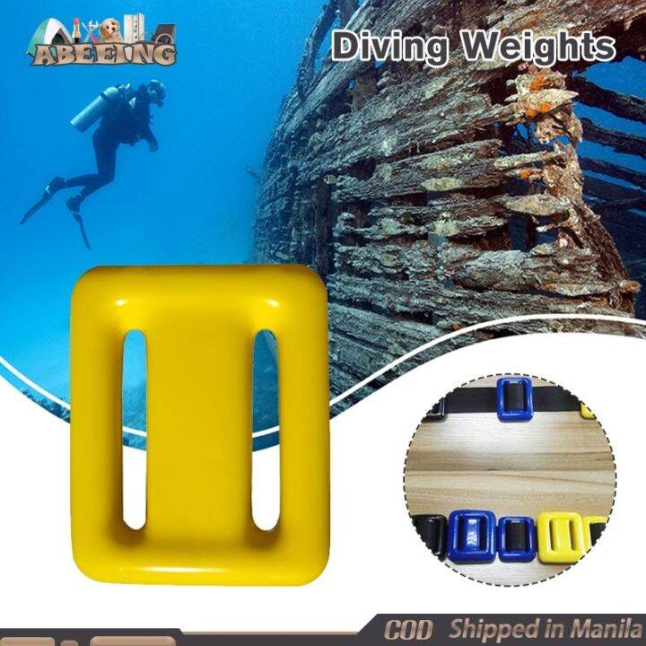 Diving Weights 1kg Freediving Scuba Weights Lazada PH