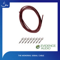 Evidence Audio The Monorail Signal Cable ( Stringsshop )