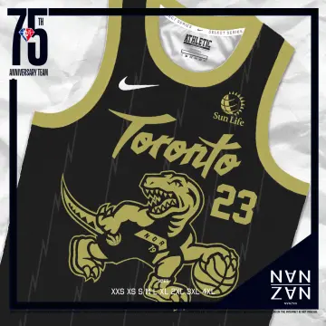 Men's NBA Toronto Raptors Fred Vanvleet Jersey 