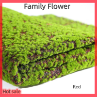 Family Flower Flash Sale 100*100cm เทียม MOSS ปลอมสีเขียว Plants MOSS Grass MAT สำหรับตกแต่งบ้าน