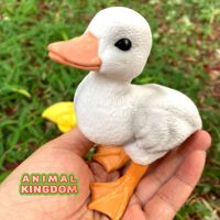 Animal Kingdom - โมเดล Ducking ลูกเป็ด ขาว ขนาด 13.00 CM (จากสงขลา)