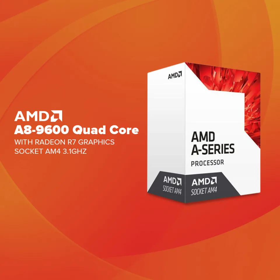 amd a8 9600 valorant