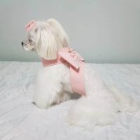 Fashion Princess Leather Cute Big Bow Pet Chest Back Dog Traction Rope Cat Traction Style Dog Harness and Leash Set dog harness