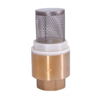 1/2 3/4 1 1-1/4 1-1/2 2 2-1/2 3 BSP Female Brass Check Valve Non-return With Steel Strainer Filter For Water Plumbing