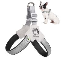 Summer No Pull Dog Harness Puppy Breathable Chest Strap For Small Medium Dogs Cats Travel Walking French Bulldog Pet Accessories Leashes