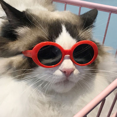 Cool Lovely Pet Cat Dog Glasses Eyewear Dog Sunglasses