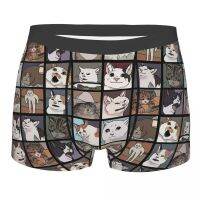 【cw】 Art Meme Cats Underpants Breathbale Panties MalePrint ShortsBriefs