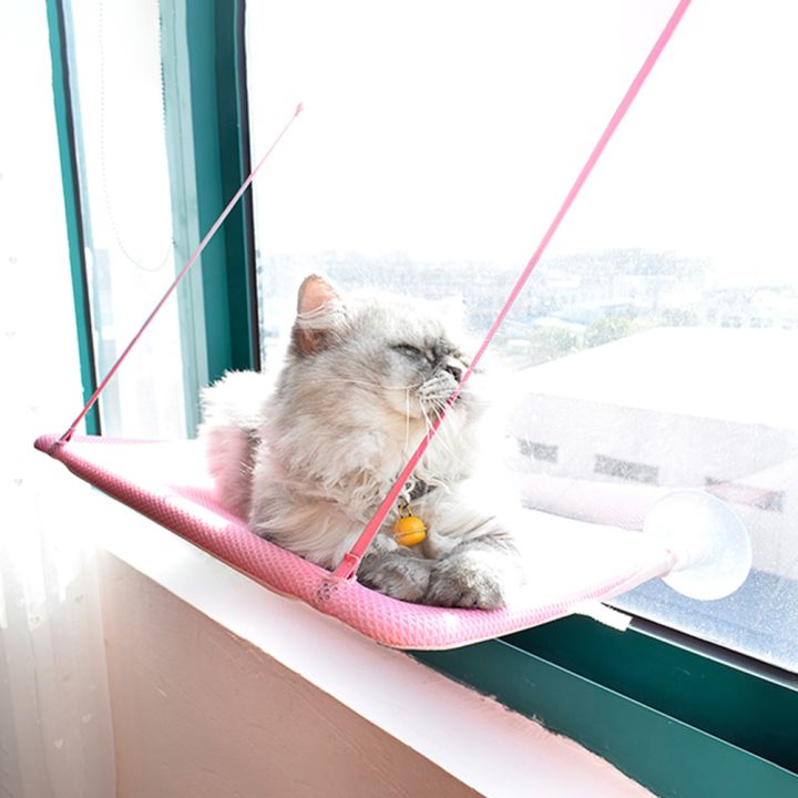 pets-baby-หน้าต่างแมวเกาะขอบแคบ