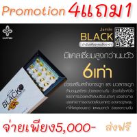 Jamille Black Sesame Oil ( จามิลลี่ แบล็ค เซซามิ ออยล์ ) 5กล่อง 300ซอฟเจล ส่งฟรี