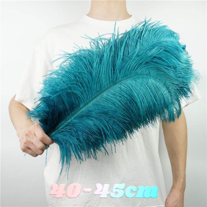 10pcs-lot-colorful-ostrich-feather-centerpieces-for-wedding-table-handicraft-accessories-dream-catcher-plume-carnival-decoration