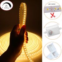 Super Bright Strips Dimmable AC 220-240V LED Strip Light 1M - 25M Kitchen Outdoor Garden Lamp Tape IP66 Flexible Lamp EU Plug LED Strip Lighting